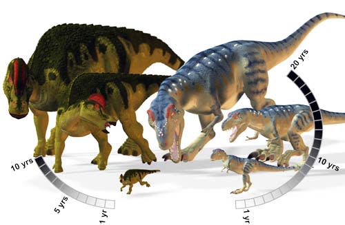HypacrosaurusAlbertasaurus.jpg