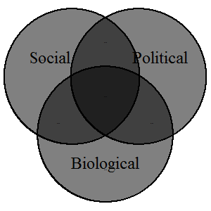 Rplot06.png