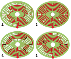 bog_maze_ans.gif