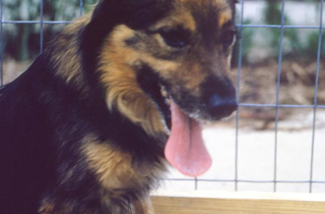 15205_lores.jpg