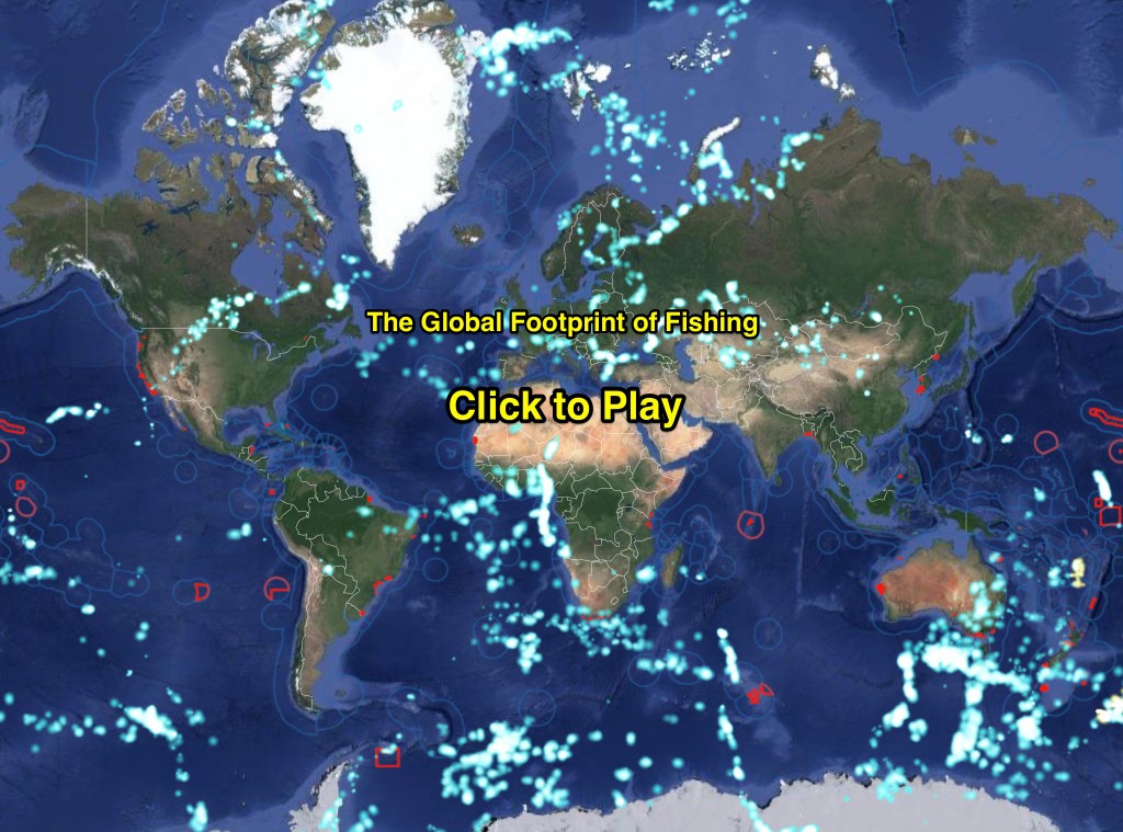 Global_Fishing_Watch___Sustainability_through_Transparency-1024x759.jpg