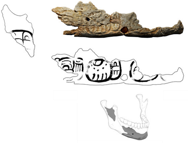Pacbitun Trophy Skull - CCBY