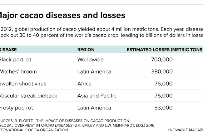 G_MajorCacaoDiseasesAndLosses.png