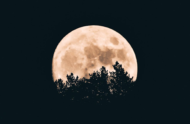 Full Moon - Unsplash