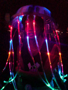 jellyfish.jpg