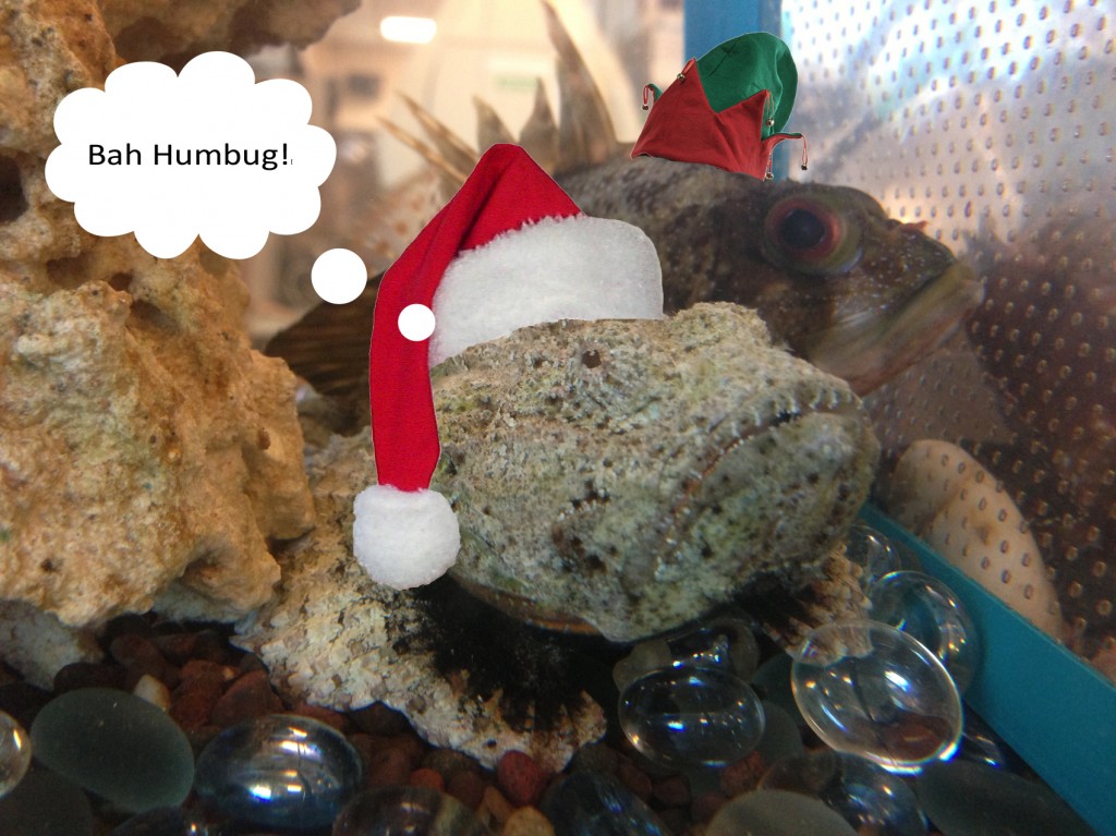 bahhumbug1-1024x767.jpg