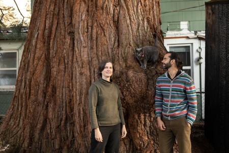 Thousands of People Have Rallied to Save This Giant Tree in a Portland Neighborhood