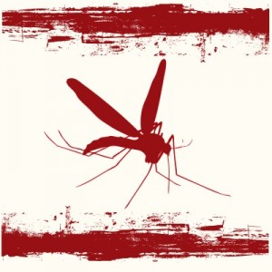 mosquito_danger-300x300.jpg