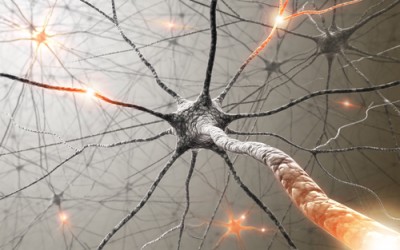 neuron-e1328569374214.jpg