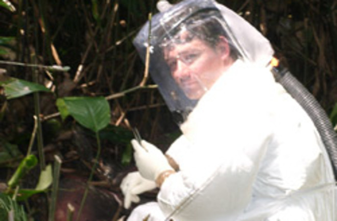 ebola-biosuit-250.jpg
