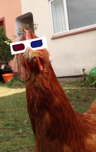 NCBI ROFL: What The Cluck? Chickens Can See Optical Illusions, And ...