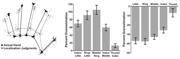 Hand_measurements.jpg