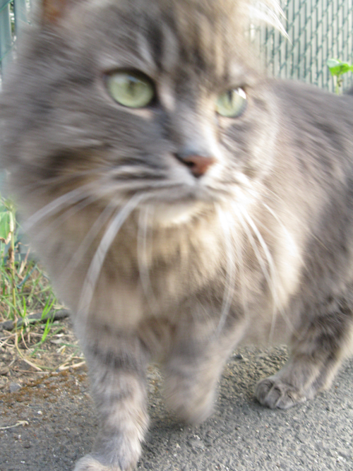 itsallablur.jpg