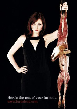 PETA1-250.jpg