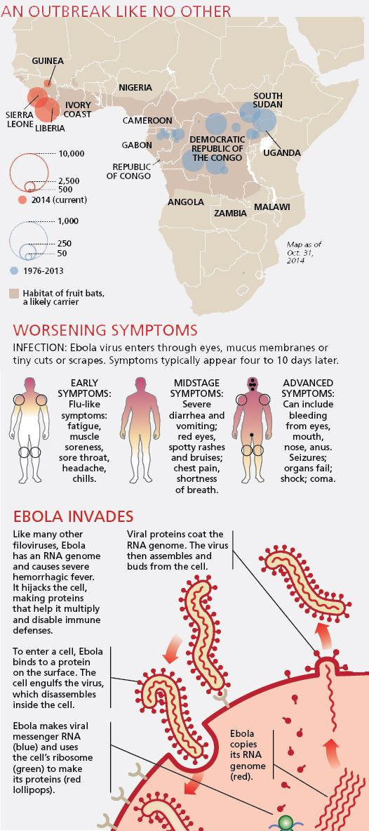 ebola_outbreak.jpg
