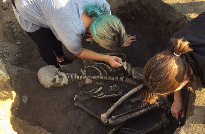 dig human skull skeleton remains excavation