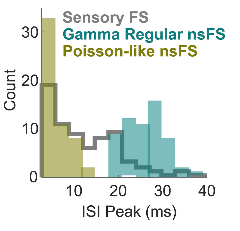 Histogram of Firing Rates - Shin & Moore 2019 Neuron