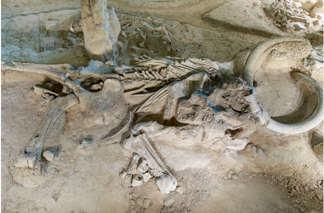 Screen Shot 2022-01-05 at 2.15.54 PM