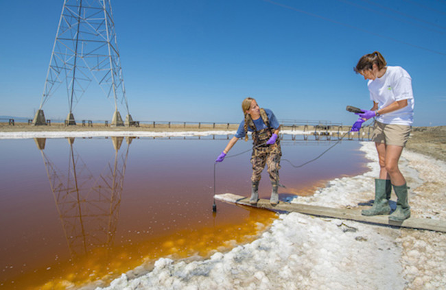 Researchers Water Sampling - Berkeley
