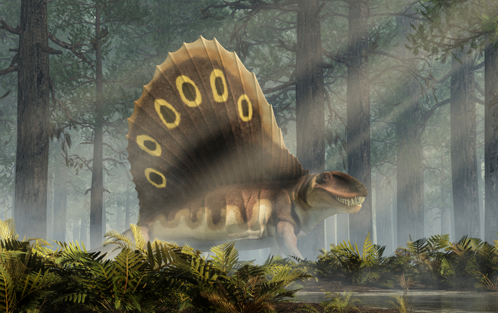 Dimetrodon, a Giant Sail-Finned Predator, Was More Related to Mammals than Dinosaurs