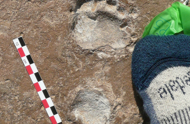 Ancient Namibia Footprints - Matthew Bennett