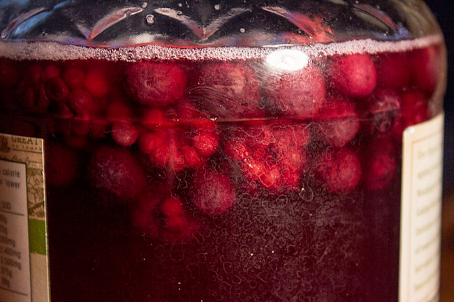 raspberry-kombucha