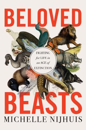 BelovedBeasts