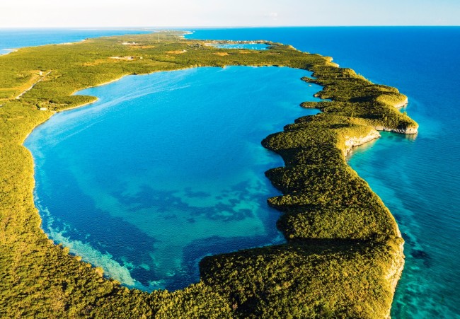 seahorse pond bahamas