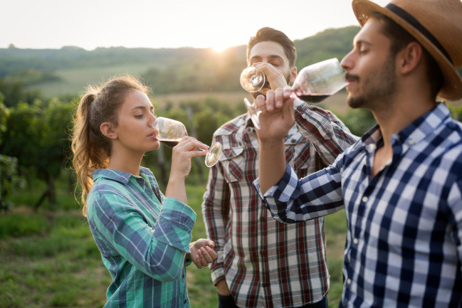 Wine Tasting - Shutterstock