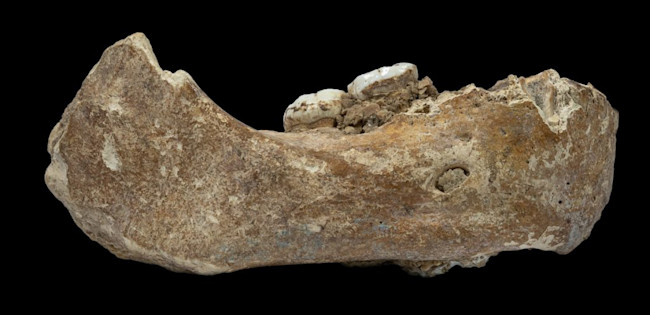 Denisovan Jawbone - Lanzhou University