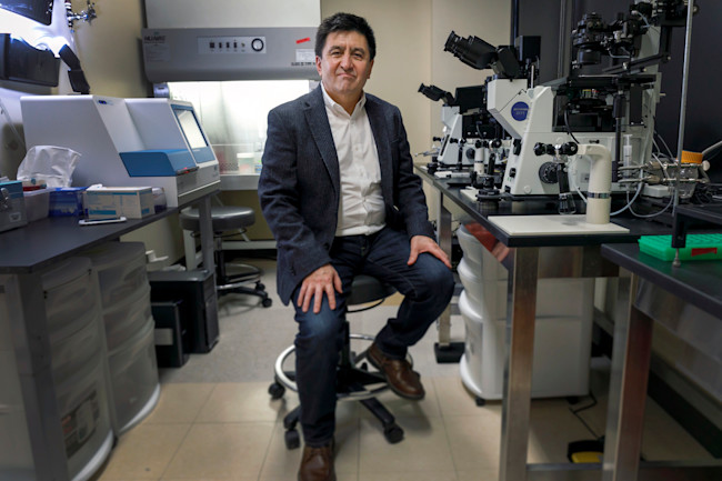 Shoukhrat Mitalipov - OHSU