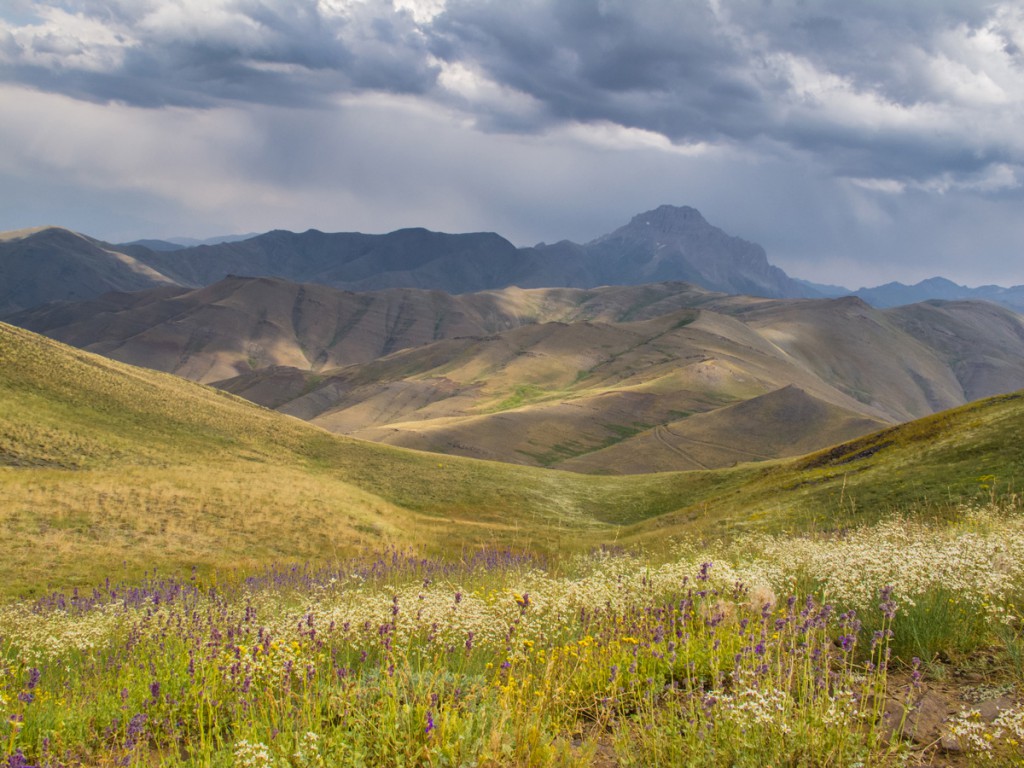 Golestanak, a protected area in the Mazandaran Province of northern Iran,is home to a small population of Persian leopards. (Credit: Behzad Farahanchi)