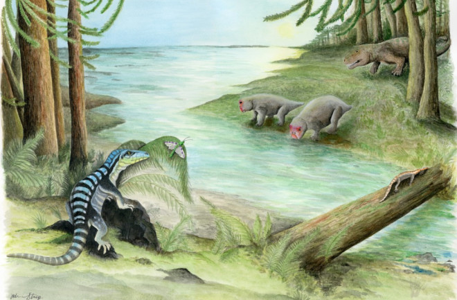 “The midnight sun over Early Triassic Antarctica.” Along the banks of a river, three archosaur inhabitants of the denseVoltziaconifer forest cross paths:Antarctanax shackletonisneaks up on an early titanopetraninsect,Prolacertalazes on a log, and an enigmatic large archosaur pursues two unsuspecting dicynodonts,Lystrosaurus maccaigi.© Adrienne Stroup, Field Museum