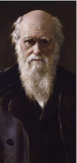 darwincrop.jpg
