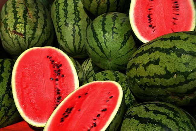 Watermelon | Discover Magazine