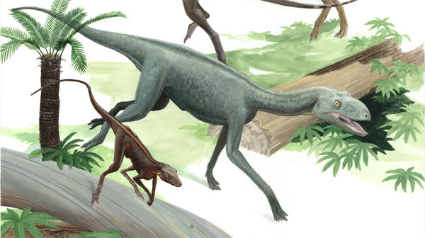 Dinosauromorph.jpg