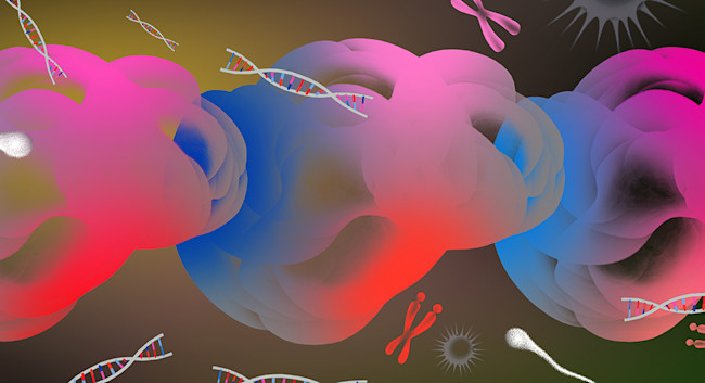 Brain Banner - Brian Stauffer