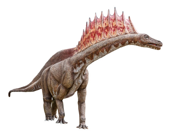 Scientists Discovered a New Dinosaur That Is a Mini-Brontosaurus With Spikes