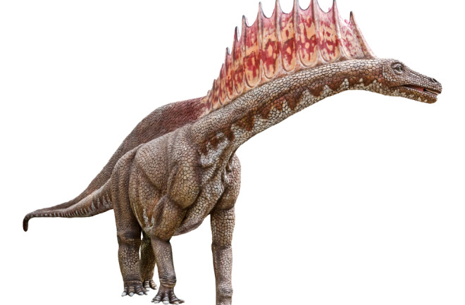 Dicraeosaurid dinosaur with spikes on its neck