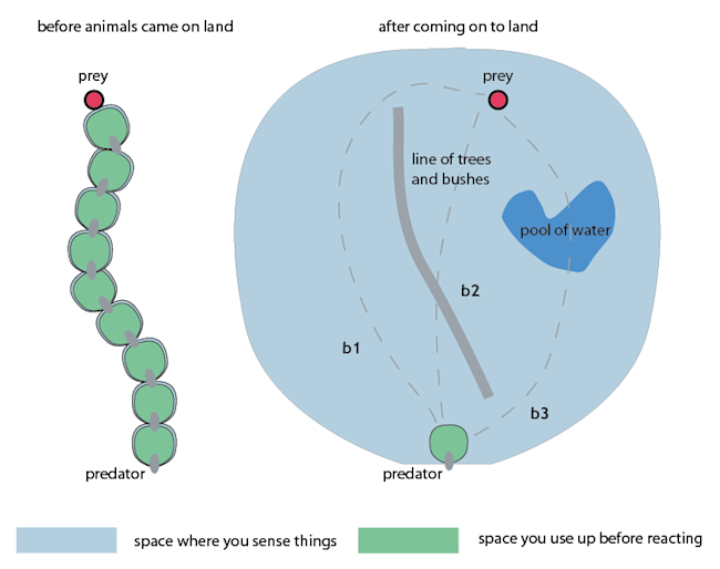 beuna_vista_consciousness_schematic.png