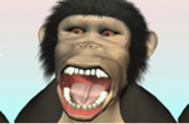 yawning-chimp.jpg