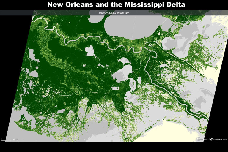 Drowning of the Marshes Protecting New Orleans is ‘Inevitable,’ New Research Shows