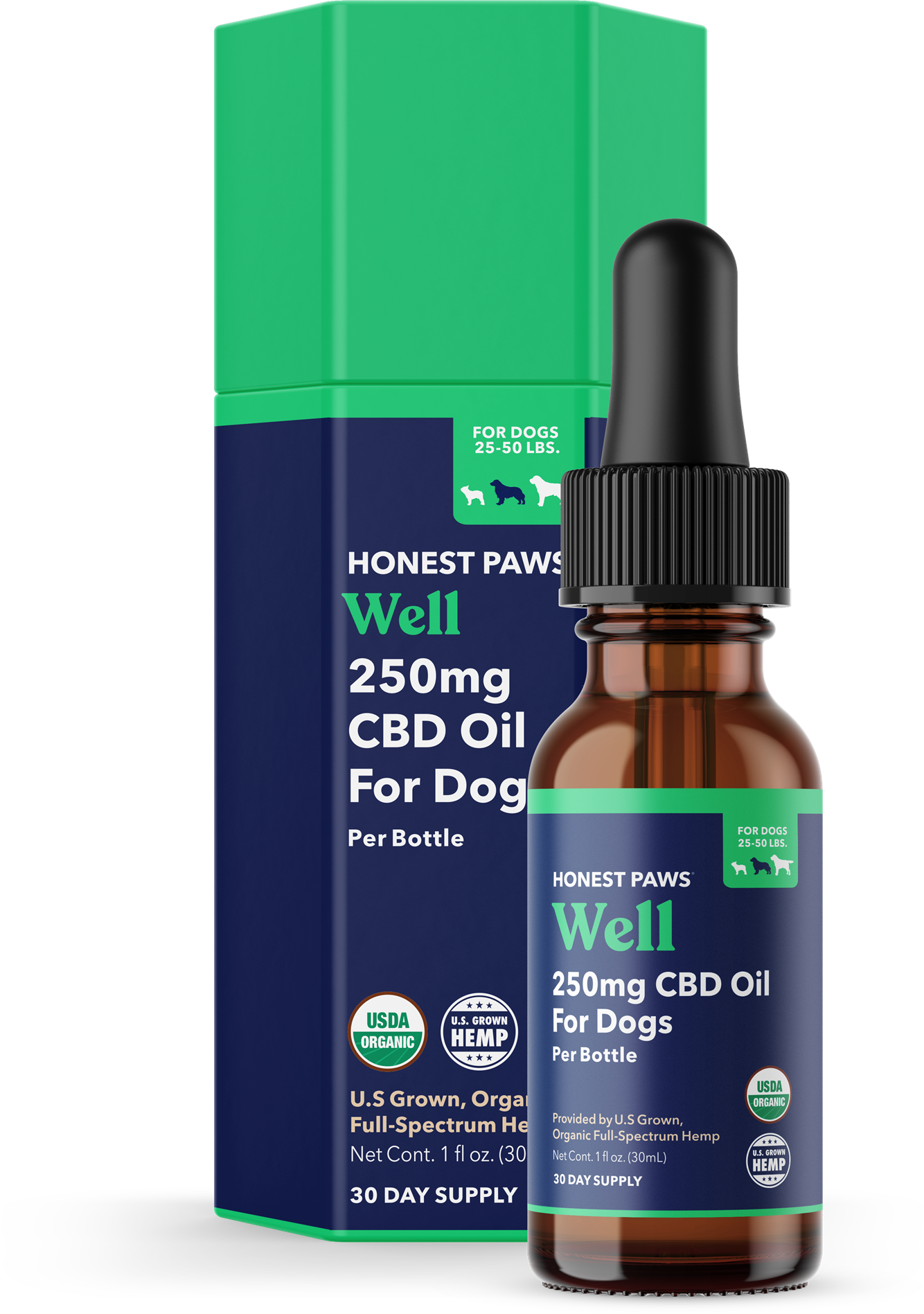 can cbd cure lymphoma in dogs