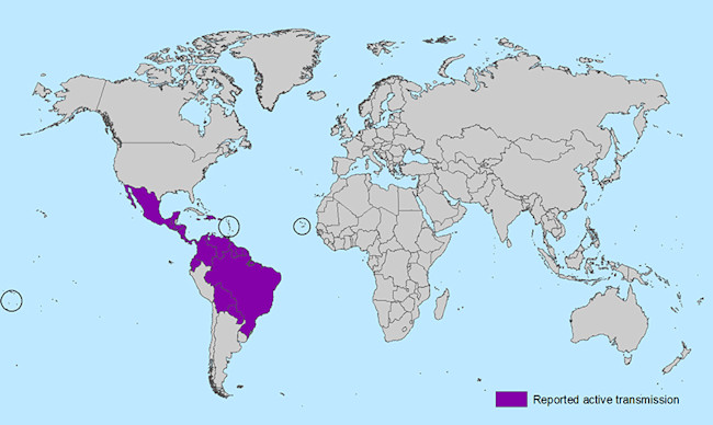 areas_with_zika.jpg