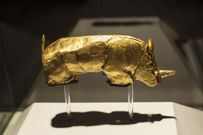 Artefact de rhinocéros d'or - Getty DSC-OS0916 09