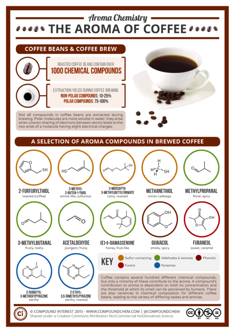 Coffee Food Pairing Chart