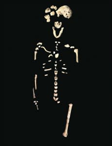 5.neo-skeleton-lesedi-chamber-230x300.jpg