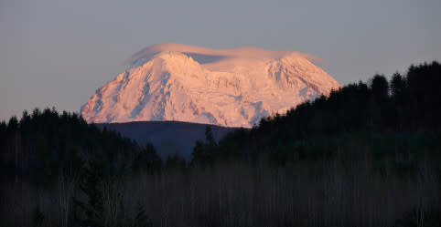 rainier-482x249.jpg