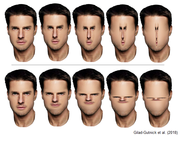 tom_cruise_lol.png