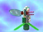 rd_fly2.jpg